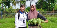 PNM Makin Kuat Bersama Danantara, Jangkau 23,1 Juta Pengusaha Ultra Mikro di Seluruh Indonesia