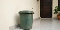 Tempat Sampah di Teras Mengundang Banyak Lalat? Ini Cara Mencegahnya agar Rumah Tetap Nyaman