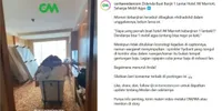 Viral Pengunjung Hotel Bikin Banjir Satu Lantai Karena Sprinkler, Apa Sih Fungsi Alat Ini?