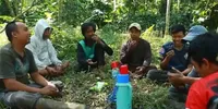 Da'im Tanam 14 Ribu Pohon Pinang Seluas 10 Hektare di Lereng Gunung Lemongan
