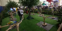 PetFest Indonesia 2026 Hadirkan 'Petropolis', Kota Imajinatif untuk Para Pecinta Hewan