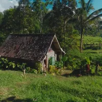 Cuplikan Video Musik no na di Sawah, Bawa Keindahan Alam Indonesia ke Dunia