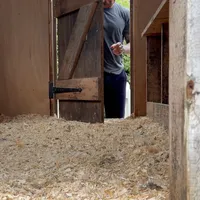 David Beckham Santai di Kebun hingga Menengok Kandang Ayam