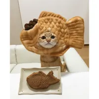 Pakai Kostum Bentuk Makanan Kucing ini Terlihat Lucu Menggemaskan