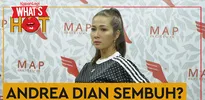 Andrea Dian Sudah Negatif Corona, Diizinkan Pulang