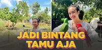 Dea Ananda Sudah Sejak Lama Ingin Berhenti Dari Dunia Hiburan