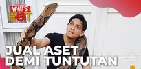 Lucky Hakim Jual Rumah dan Koleksi Hewan Peliharaan, Demi Politik?