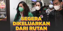 Perjuangan Berhasil, Jennifer Jill Akan Direhabilitasi