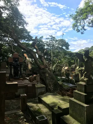 Arti Mimpi Melewati Kuburan Refleksi Akan Perubahan Hidup (credi: unsplash)