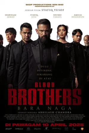 Blood Brothers: Fury of the Dragon