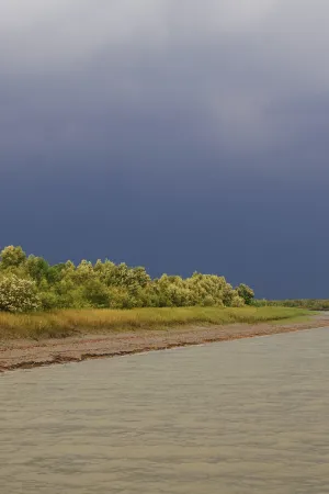 Drifting in the Waters of Sundarbans