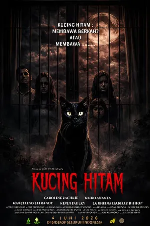 Kucing Hitam