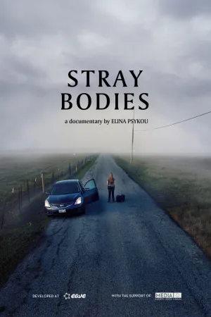 Stray Bodies