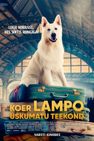 The Dog Who Travelled by Train