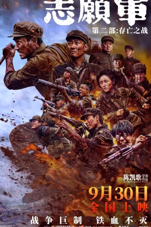 The Volunteers: The Battle of Life and Death