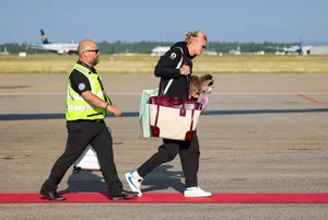 Erling Haaland bawa rakun awetan pulang (Credit: Jan Langhaug/NTB Scanpix via AP)