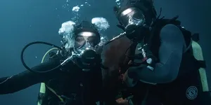 11 Film Tentang Keganasan Bawah Laut, Penuh Ketegangan di Tengah Lautan