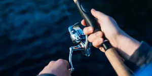 20 Arti Mimpi Primbon Mancing Ikan, Sebuah Firasat yang Jangan Disepelekan