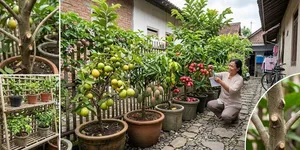 5 Tanaman Buah Tinggi yang Bisa Dibuat Pendek dan Tetap Menghasilkan Banyak Buah