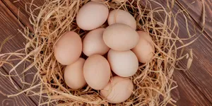 6 Cara Membuat Masker Putih Telur dengan Variasi Bahan Alami, Mudah Dibuat