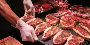 7 Bakteri Pada Makanan Paling Berbahaya, Sebabkan Berbagai Penyakit