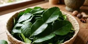 7 Cara Menyimpan Daun Jeruk Tanpa Kulkas agar Tidak Mudah Kering dan Tetap Wangi