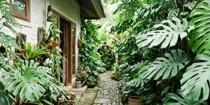7 Inspirasi Sulap Lorong Samping Rumah dengan Kebun Monstera, Bikin Sejuk dan Estetik