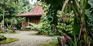 7 Penyebab Buah Pisang Busuk Sebelum Matang dan Cara Mencegahnya