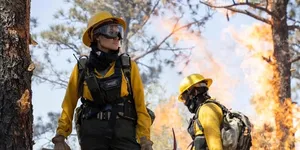 7 Rekomendasi Film Bertema Kebakaran Hutan dan Petugas Damkar yang Heroik