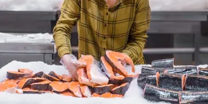 8 Jenis Ikan Laut Kaya Gizi untuk Dikonsumsi, Baik Bagi Kesehatan