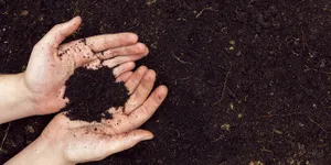 8 Jenis-jenis Tanah di Indonesia Beserta Karakteristik, dan Manfaatnya