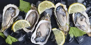 8 Jenis Kerang Laut yang Aman Dikonsumsi, Kaya Akan Nutrisi