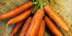 8 Manfaat Jus Wortel, Senjata Ampuh Melawan Kanker dan Menurunkan Kolesterol