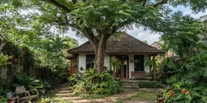 8 Pohon Peneduh untuk Halaman Rumah, Pilihan Menarik untuk Hunian yang Lebih Asri