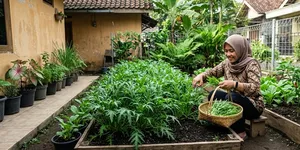 8 Tips Menanam Sawi Jepang Mizuna untuk Panen Daun Muda, Rahasia Berkebun Sayur Anti Gagal untuk Pemula