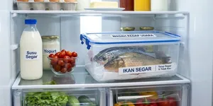 9 Cara Membuat Kulkas Tidak Bau Amis Setelah Menyimpan Ikan, Tetap Bersih dan Segar