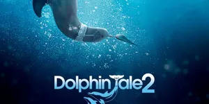 9 Rekomendasi Film Bertema Lumba-lumba dan Kehidupan Laut yang Menyentuh, Penuh Kisah Hangat
