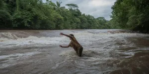 Arti Mimpi Hanyut di Air Sungai yang Deras Menurut Psikologi dan Primbon Jawa