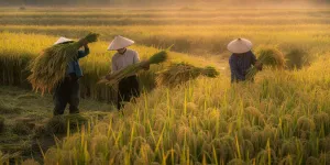 Arti Mimpi Panen Padi, Simbol Kelimpahan hingga Pertanda Psikologis