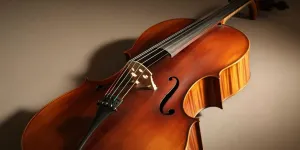 Arti Nama Cello: Makna, Asal Usul, dan Karakteristik Lengkap