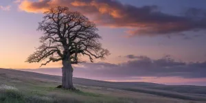 Arti Nama Senja: Makna Indah Waktu Menjelang Malam untuk Buah Hati