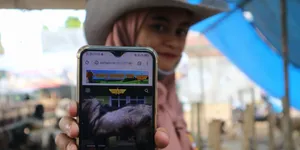 Beli Kambing Dilayani SPG, Tempat Jual Kurban Ini Tawarkan Konsep Yang Unik