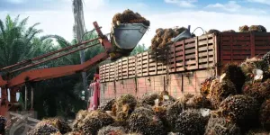 BPDPKS Beberkan Potensi Sawit yang Beragam dan Berkelanjutan Lewat  Talkshow 'Sejuta Manfaat Kebaikan Sawit'