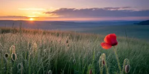 Caption Pagi yang Menginspirasi untuk Memulai Hari dengan Semangat