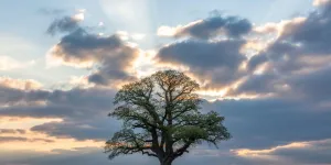 Caption Tentang Langit: Inspirasi Kata-kata Indah untuk Media Sosial