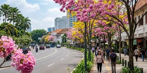 Cara ke Cikini dan Velodrome Naik Transportasi Umum untuk Berburu Foto Bunga Tabebuya Mekar