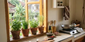 Cara Membuat Kebun Herbal Mini Dekat Dapur, Bikin Masak Makin Praktis