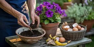 Cara Membuat Tanaman Cepat Berbunga dengan Bahan Dapur yang Mudah dan Terbukti Ampuh