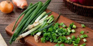 Cara Menanam Daun Bawang di Botol Bekas agar Selalu Panen, Stok Dapur Tetap Aman