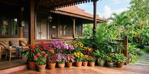 Cara Menata Pot Berdasarkan Warna untuk Membuat Teras Lebih Serasi